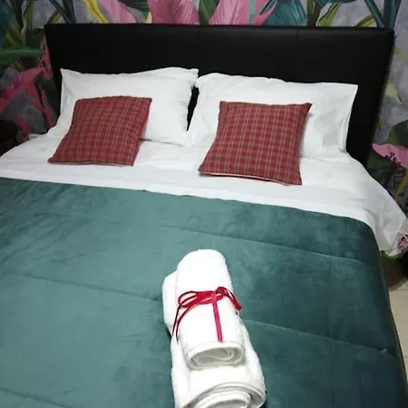 Pignasecca Apartment